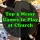 Top 5 Messy Games to Play at Church
